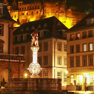 Hotel Goldener Falke ***